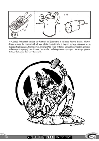 245
8.- Cuando comienzan a nacer las plantitas, las colocamos al sol unas 4 horas diarias, después
de una semana las ponemos al sol todo el día, Durante todo el tiempo hay que mantener los al-
mácigos bien regados. Nunca deben secarse: Para regar podemos utilizar una regadera común o
un bote que tenga agujeros, siempre con mucho cuidado para que no caigan chorros que puedan
deslavar la tierra y descubrir la semilla.
 
