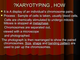 KARYOTYPING , HOWKARYOTYPING , HOW??
 It is A display of an individualIt is A display of an individual’’s chromosome pairs.s chromosome pairs.
 Process : Sample of cells is taken, usually blood cells.Process : Sample of cells is taken, usually blood cells.
Cells are chemically stimulated to undergo mitosis.Cells are chemically stimulated to undergo mitosis.
Mitosis is stopped atMitosis is stopped at metaphasemetaphase..
Chromosomes are separated out,Chromosomes are separated out,
viewed with a microscopeviewed with a microscope
and photographed.and photographed.
The photograph is then rearranged to show the pairedThe photograph is then rearranged to show the paired
chromosomes.chromosomes. SizeSize,, shapeshape andand banding patternbanding pattern areare
used to pair up the chromosomesused to pair up the chromosomes..
 