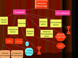 Genetic
factors
Anatomical
factors
Endocrine
Infective
agents
Immune
factors
Inhereted
Thrombophilic
defect
Explained Un-explained
Recurent
Miscarriage
Enviromental
factors
Body Cervix
Paternal
karyotyping
Cytogenetic
Of miscarriage
C I
Uterine
anomalies
APS
Bacterial
Vaginosis
 