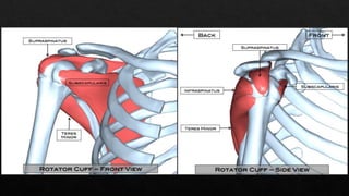 Recurrent Dislocation of Shoulder.pptx