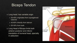 Recurrent Dislocation of Shoulder.pptx