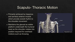 Recurrent Dislocation of Shoulder.pptx