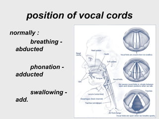 position of vocal cords
normally :
breathing -
abducted
phonation -
adducted
swallowing -
add.
 
