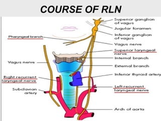 COURSE OF RLN
 