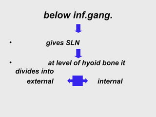 below inf.gang.
• gives SLN
• at level of hyoid bone it
divides into
external internal
 