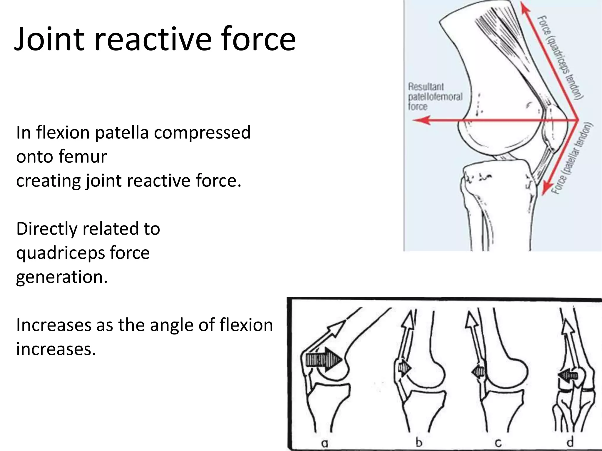 In flexion patella compressed
onto femur
creating joint reactive force.
Directly related to
quadriceps force
generation.
Increases as the angle of flexion
increases.
Joint reactive force
 