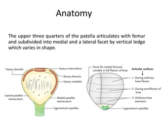 Anatomy
The upper three quarters of the patella articulates with femur
and subdivided into medial and a lateral facet by vertical ledge
which varies in shape.
 