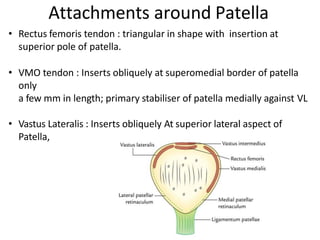 • Rectus femoris tendon : triangular in shape with insertion at
superior pole of patella.
• VMO tendon : Inserts obliquely at superomedial border of patella
only
a few mm in length; primary stabiliser of patella medially against VL
• Vastus Lateralis : Inserts obliquely At superior lateral aspect of
Patella,
Attachments around Patella
 