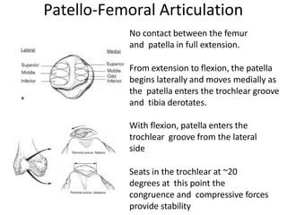 No contact between the femur
and patella in full extension.
From extension to flexion, the patella
begins laterally and moves medially as
the patella enters the trochlear groove
and tibia derotates.
With flexion, patella enters the
trochlear groove from the lateral
side
Seats in the trochlear at ~20
degrees at this point the
congruence and compressive forces
provide stability
Patello-Femoral Articulation
 