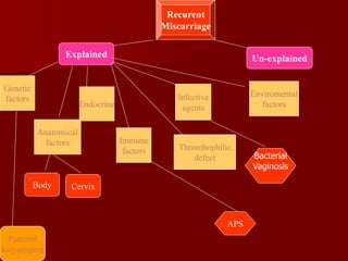 Genetic
factors
Anatomical
factors
Endocrine
Infective
agents
Immune
factors Thrombophilic
defect
Explained Un-explained
Recurent
Miscarriage
Enviromental
factors
Body Cervix
Paternal
karyotyping
APS
Bacterial
Vaginosis
 