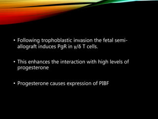 • Following trophoblastic invasion the fetal semi-
allograft induces PgR in γ/δ T cells.
• This enhances the interaction with high levels of
progesterone
• Progesterone causes expression of PIBF
 