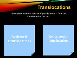 Translocations
Reciprocal
translocations
Robertsonian
translocations
A translocation is the transfer of genetic material from one
chromosome to another.
 