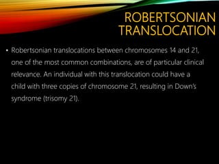 ROBERTSONIAN
TRANSLOCATION
• Robertsonian translocations between chromosomes 14 and 21,
one of the most common combinations, are of particular clinical
relevance. An individual with this translocation could have a
child with three copies of chromosome 21, resulting in Down’s
syndrome (trisomy 21).
 