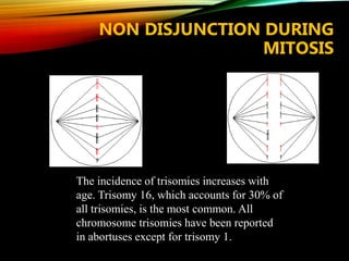 NON DISJUNCTION DURING
MITOSIS
The incidence of trisomies increases with
age. Trisomy 16, which accounts for 30% of
all trisomies, is the most common. All
chromosome trisomies have been reported
in abortuses except for trisomy 1.
 