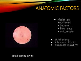 ANATOMIC FACTORS
 Mullerian
anomalies
 Septum
 Bicornuate
 unicornuate
 IU Adhesions
 Submucous fibroid
 Intramural fibroid ???
Small uterine cavity
 