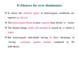 Evidences for over dominance
 In maize the maturity genes in heterozygous conditions are
superior i.e. Ma ma.
 The heterozygote Mama is more vigorous than MaMa or mama
 The human beings sickle cell anaemia is caused by ss which is
lethal.
 But heterozygote individuals having Ss have advantage of
having resistance against malaria compared to SS
individuals.
 