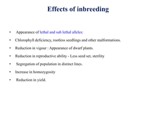 Effects of inbreeding
• Appearance of lethal and sub lethal alleles:
• Chlorophyll deficiency, rootless seedlings and other malformations.
• Reduction in vigour : Appearance of dwarf plants.
• Reduction in reproductive ability - Less seed set, sterility
• Segregation of population in distinct lines.
• Increase in homozygosity
• Reduction in yield.
 