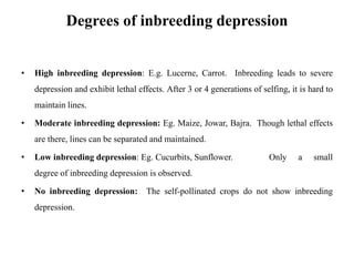 Degrees of inbreeding depression
• High inbreeding depression: E.g. Lucerne, Carrot. Inbreeding leads to severe
depression and exhibit lethal effects. After 3 or 4 generations of selfing, it is hard to
maintain lines.
• Moderate inbreeding depression: Eg. Maize, Jowar, Bajra. Though lethal effects
are there, lines can be separated and maintained.
• Low inbreeding depression: Eg. Cucurbits, Sunflower. Only a small
degree of inbreeding depression is observed.
• No inbreeding depression: The self-pollinated crops do not show inbreeding
depression.
 