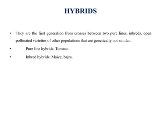 HYBRIDS
• They are the first generation from crosses between two pure lines, inbreds, open
pollinated varieties of other populations that are genetically not similar.
• Pure line hybrids: Tomato.
• Inbred hybrids: Maize, bajra.
 