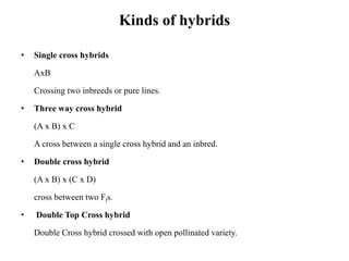 Kinds of hybrids
• Single cross hybrids
AxB
Crossing two inbreeds or pure lines.
• Three way cross hybrid
(A x B) x C
A cross between a single cross hybrid and an inbred.
• Double cross hybrid
(A x B) x (C x D)
cross between two Fls.
• Double Top Cross hybrid
Double Cross hybrid crossed with open pollinated variety.
 