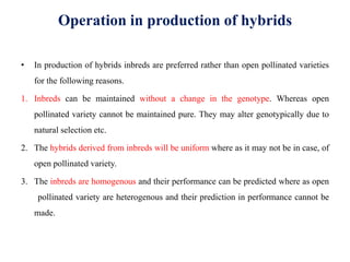 Operation in production of hybrids
• In production of hybrids inbreds are preferred rather than open pollinated varieties
for the following reasons.
1. Inbreds can be maintained without a change in the genotype. Whereas open
pollinated variety cannot be maintained pure. They may alter genotypically due to
natural selection etc.
2. The hybrids derived from inbreds will be uniform where as it may not be in case, of
open pollinated variety.
3. The inbreds are homogenous and their performance can be predicted where as open
pollinated variety are heterogenous and their prediction in performance cannot be
made.
 