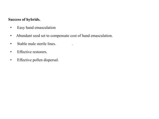 Success of hybrids.
• Easy hand emasculation
• Abundant seed set to compensate cost of hand emasculation.
• Stable male sterile lines. .
• Effective restorers.
• Effective pollen dispersal.
 