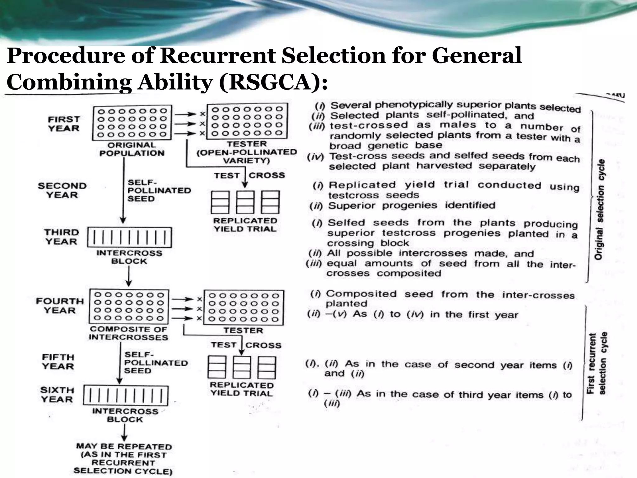 Recurrent selection sca1 | PPTX