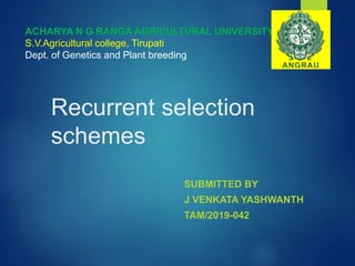 Recurrent selection
schemes
SUBMITTED BY
J VENKATA YASHWANTH
TAM/2019-042
ACHARYA N G RANGA AGRICULTURAL UNIVERSITY
S.V.Agricultural college, Tirupati
Dept. of Genetics and Plant breeding
 
