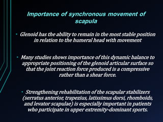 Importance of synchronous movement of 
scapula 
• Glenoid has the ability to remain in the most stable position 
in relation to the humeral head with movement 
• Many studies shows importance of this dynamic balance to 
appropriate positioning of the glenoid articular surface so 
that the joint reaction force produced is a compressive 
rather than a shear force. 
• Strengthening rehabilitation of the scapular stabilizers 
(serratus anterior, trapezius, latissimus dorsi, rhomboids, 
and levator scapulae) is especially important in patients 
who participate in upper extremity-dominant sports. 
 