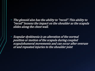 • The glenoid also has the ability to “recoil”. This ability to 
“recoil” lessens the impact on the shoulder as the scapula 
slides along the chest wall. 
• Scapular dyskinesia is an alteration of the normal 
position or motion of the scapula during coupled 
scapulohumeral movements and can occur after overuse 
of and repeated injuries to the shoulder joint 
 