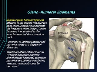 Gleno-humeral ligaments 
• Superior gleno humeral ligament - 
attaches to the glenoid rim near the 
apex of the labrum conjoined with 
the long head of the biceps . On the 
humerus, it is attached to the 
anterior aspect of the anatomical 
neck . 
• restraint to inferior, anterior and 
posterior stress at 0 degrees of 
abduction 
• Tightening of the rotator interval 
(which includes the superior 
glenohumeral ligament) decreases 
posterior and inferior translation; 
external rotation also may be 
decreased 
 