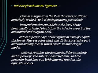 • Inferior glenohumeral ligament – 
glenoid margin from the 2- to 3-o’clock positions 
anteriorly to the 8- to 9-o’clock positions posteriorly 
humeral attachment is below the level of the 
horizontally oriented physis into the inferior aspect of the 
anatomical and surgical neck . 
anterosuperior edge of this ligament usually is quite 
thickened. There is a less thick and distinct posterior part 
and thin axillary recess which create hammock type 
model. 
external rotation, the hammock slides anteriorly 
and superiorly. The anterior band tightens, and the 
posterior band fans out. With internal rotation, the 
opposite occurs 
 