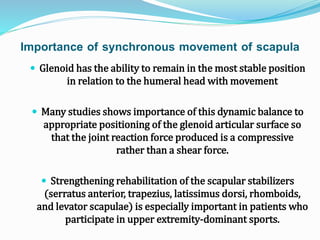 Importance of synchronous movement of scapula
 Glenoid has the ability to remain in the most stable position
in relation to the humeral head with movement
 Many studies shows importance of this dynamic balance to
appropriate positioning of the glenoid articular surface so
that the joint reaction force produced is a compressive
rather than a shear force.
 Strengthening rehabilitation of the scapular stabilizers
(serratus anterior, trapezius, latissimus dorsi, rhomboids,
and levator scapulae) is especially important in patients who
participate in upper extremity-dominant sports.
 