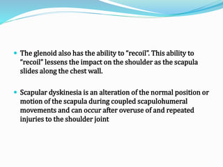  The glenoid also has the ability to “recoil”. This ability to
“recoil” lessens the impact on the shoulder as the scapula
slides along the chest wall.
 Scapular dyskinesia is an alteration of the normal position or
motion of the scapula during coupled scapulohumeral
movements and can occur after overuse of and repeated
injuries to the shoulder joint
 