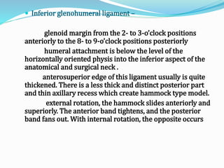  Inferior glenohumeral ligament –
glenoid margin from the 2- to 3-o’clock positions
anteriorly to the 8- to 9-o’clock positions posteriorly
humeral attachment is below the level of the
horizontally oriented physis into the inferior aspect of the
anatomical and surgical neck .
anterosuperior edge of this ligament usually is quite
thickened. There is a less thick and distinct posterior part
and thin axillary recess which create hammock type model.
external rotation, the hammock slides anteriorly and
superiorly. The anterior band tightens, and the posterior
band fans out. With internal rotation, the opposite occurs
 
