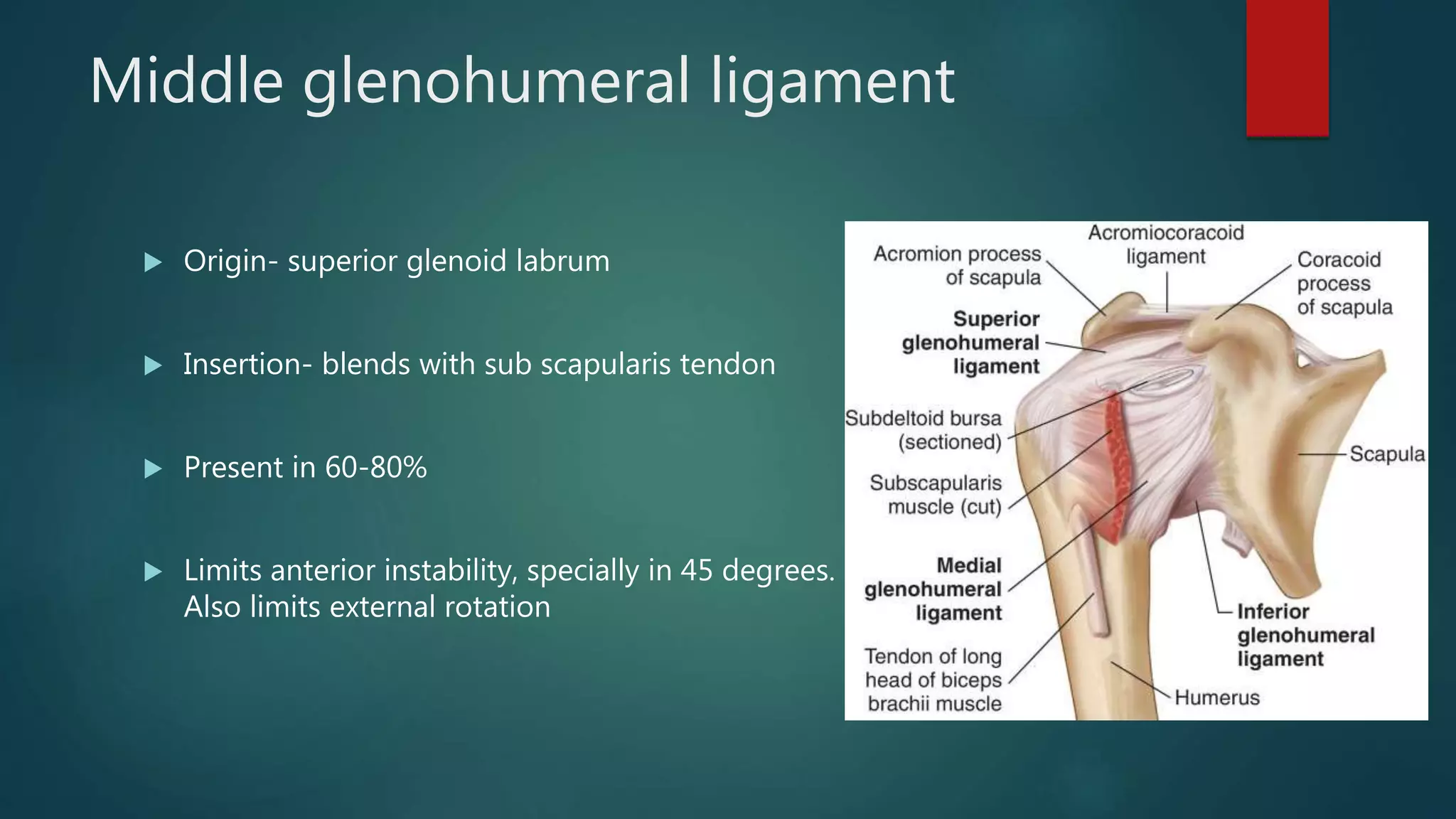 Recurrent shoulder dislocation and management | PPTX