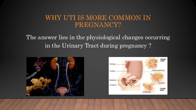 Recurrent uti in pregnancy
