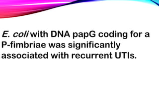 E. coli with DNA papG coding for a
P-fimbriae was significantly
associated with recurrent UTIs.
 