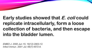 Early studies showed that E. coli could
replicate intracellularly, form a loose
collection of bacteria, and then escape
into the bladder lumen.
EMBO J. 2000 Jun 15; 19(12):2803-12.
Infect Immun. 2001 Jul; 69(7):4572-9.
 