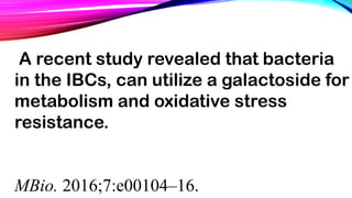 A recent study revealed that bacteria
in the IBCs, can utilize a galactoside for
metabolism and oxidative stress
resistance.
MBio. 2016;7:e00104–16.
 