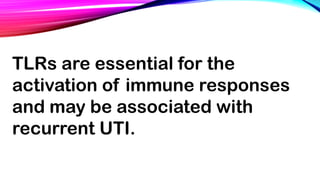 TLRs are essential for the
activation of immune responses
and may be associated with
recurrent UTI.
 
