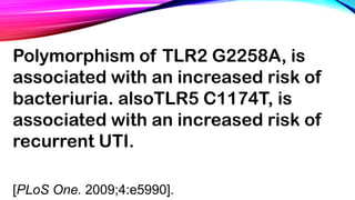 Polymorphism of TLR2 G2258A, is
associated with an increased risk of
bacteriuria. alsoTLR5 C1174T, is
associated with an increased risk of
recurrent UTI.
[PLoS One. 2009;4:e5990].
 