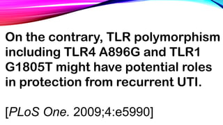 On the contrary, TLR polymorphism
including TLR4 A896G and TLR1
G1805T might have potential roles
in protection from recurrent UTI.
[PLoS One. 2009;4:e5990]
 