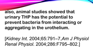 also, animal studies showed that
urinary THP has the potential to
prevent bacteria from interacting or
aggregating in the urothelium.
[Kidney Int. 2004;65:791–7,Am J Physiol
Renal Physiol. 2004;286:F795–802.]
 