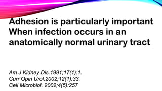 Adhesion is particularly important
When infection occurs in an
anatomically normal urinary tract
Am J Kidney Dis.1991;17(1):1.
Curr Opin Urol.2002;12(1):33.
Cell Microbiol. 2002;4(5):257
 
