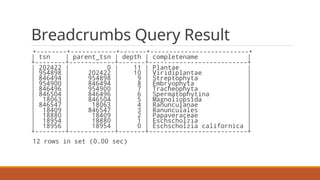 Breadcrumbs Query EXPLAIN Plan
§New note in Extra: "Recursive"
§Using index (covering index) for both base case and recurs...