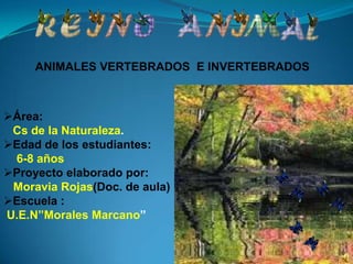 Área:
Cs de la Naturaleza.
Edad de los estudiantes:
6-8 años
Proyecto elaborado por:
Moravia Rojas(Doc. de aula)
Escuela :
U.E.N”Morales Marcano”
ANIMALES VERTEBRADOS E INVERTEBRADOS
 