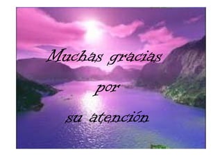 Muchas gracias
por
su atención
 