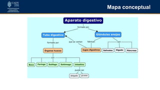 Mapa conceptual
 
