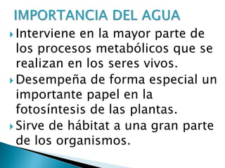  Interviene en la mayor parte de
los procesos metabólicos que se
realizan en los seres vivos.
 Desempeña de forma especial un
importante papel en la
fotosíntesis de las plantas.
 Sirve de hábitat a una gran parte
de los organismos.
 